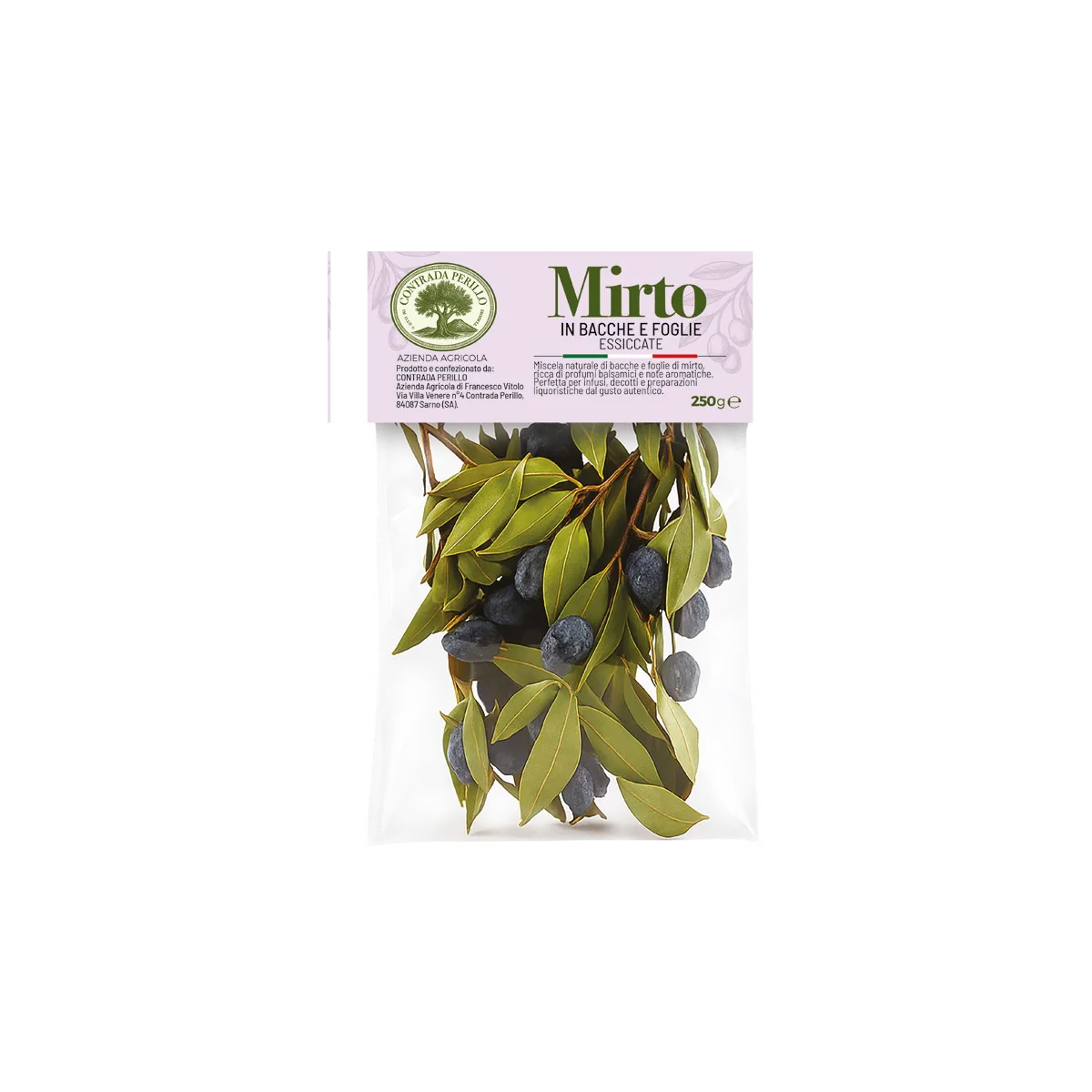 Mirto in bacche e foglie essiccate