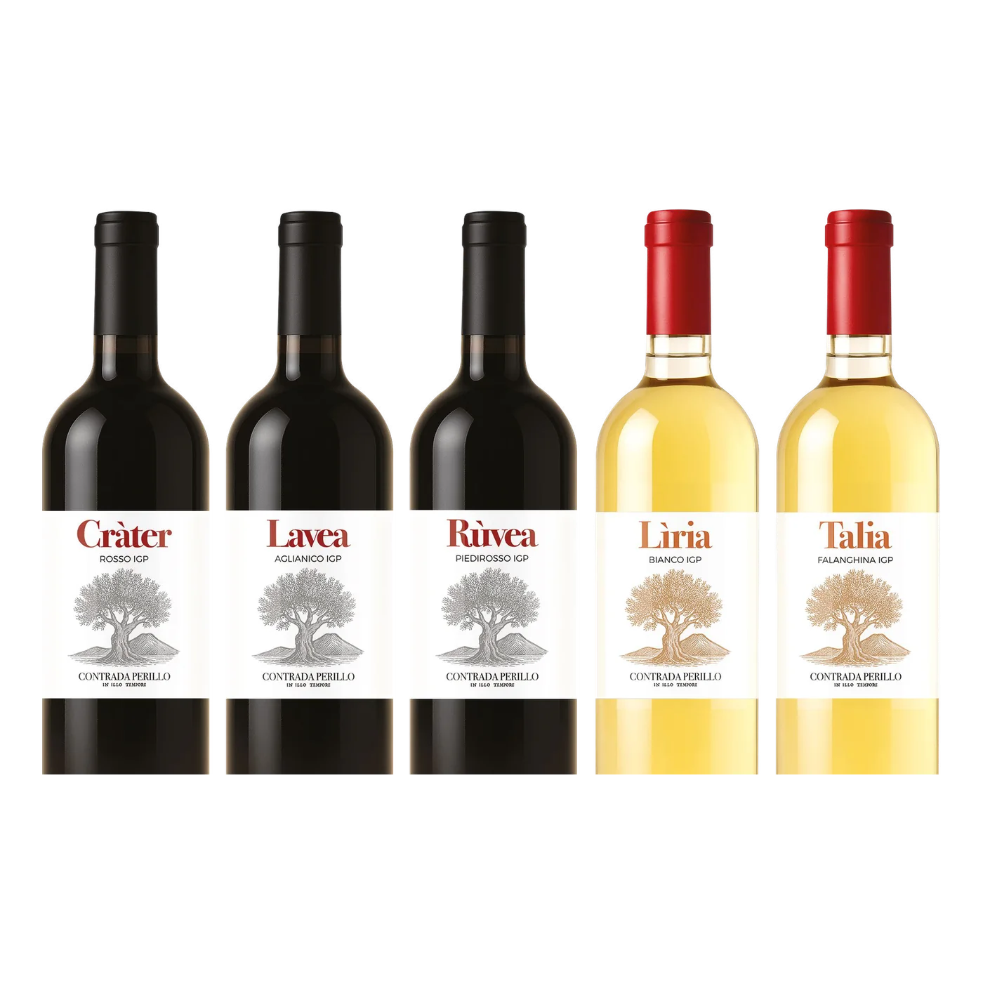 Degustazione della Carta dei Vini